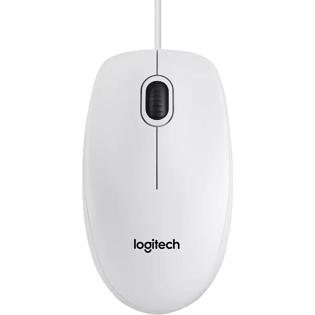 B100 OPTIC MOUSE F/BUSINESS WH OEM